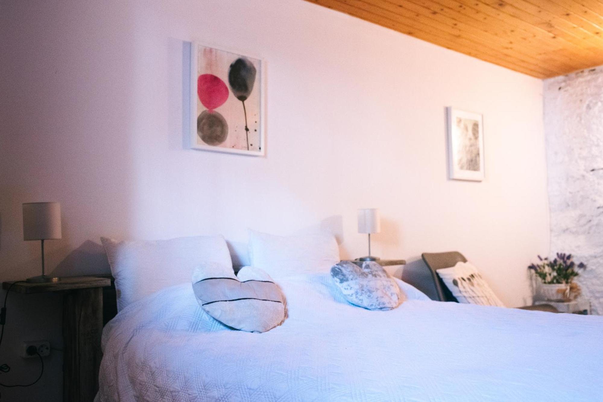 Cal Miquel De Ventola Guest House Екстериор снимка